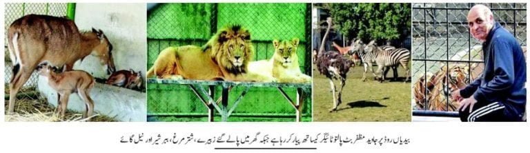 Zoo at Home in Bedian