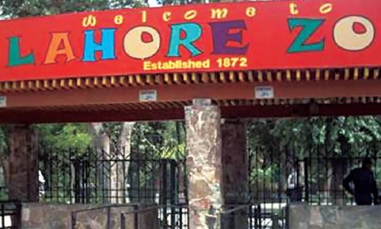 Lahro Zoo gate