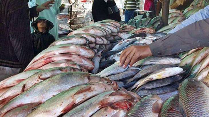 خیبر پختونخواہ گورنمنٹ کا مچھلیوں کی بریڈنگ کے لئے ڈیمز کے استعمال کا پلان