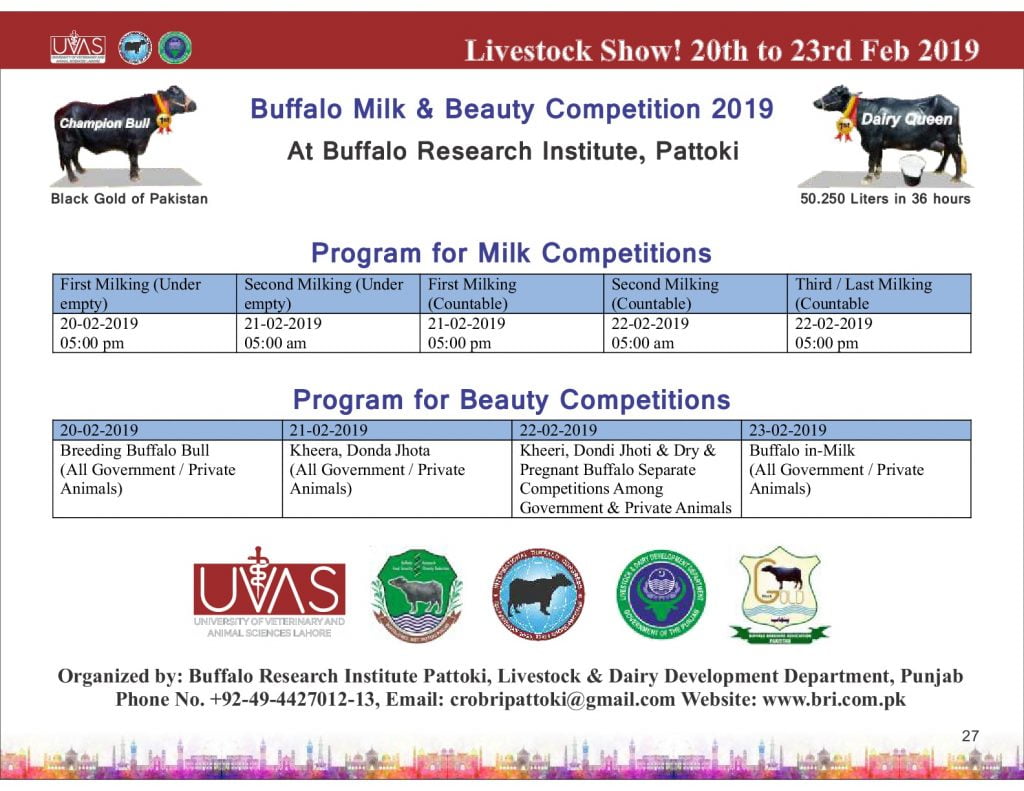 Program of Buffalo Competition