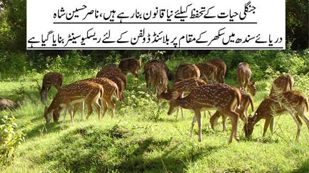 Legislation for Wildlife in Sindh