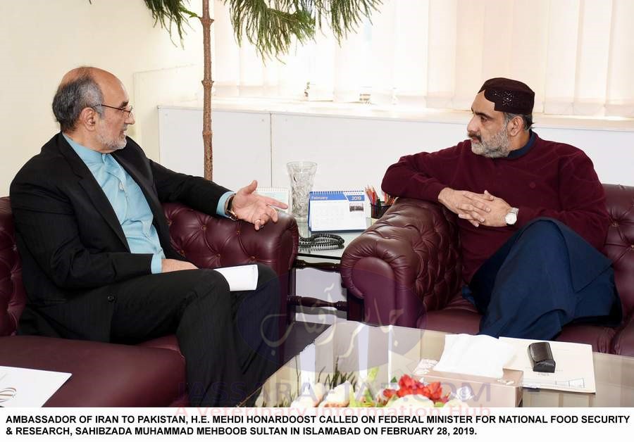 Ambassador of Iran with Federal Minister