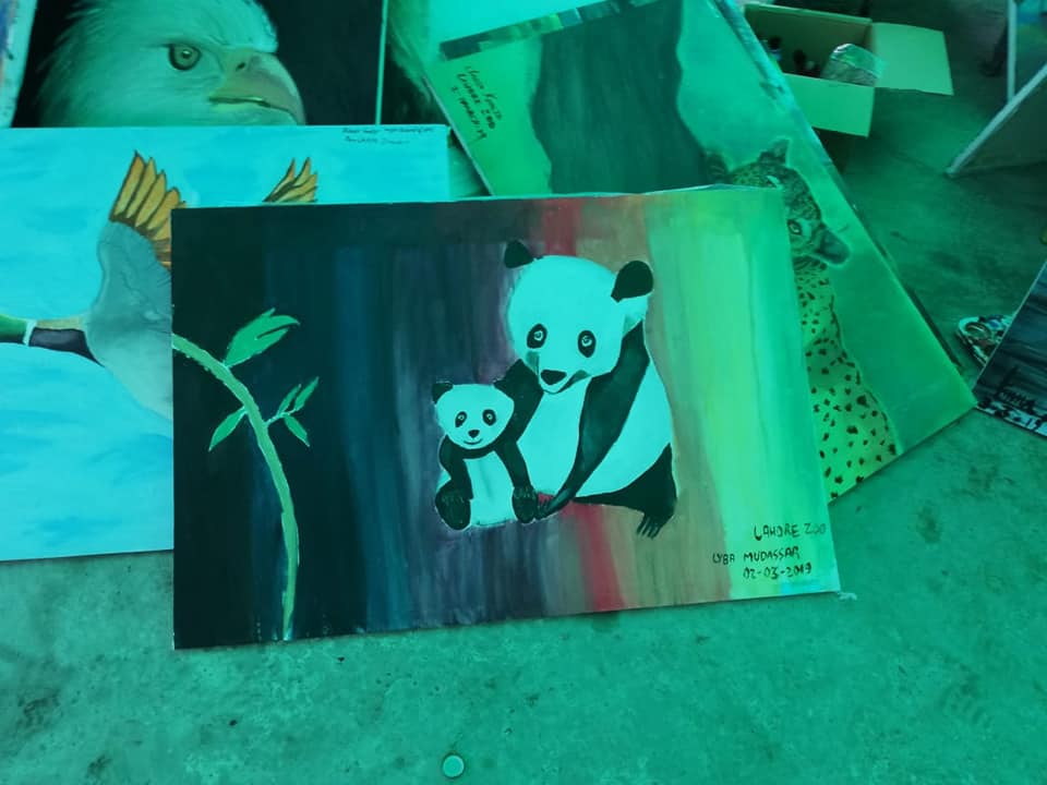 Panda Paining - Wildlife Paintings