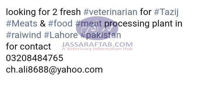 Jobs in Meat Processing Company
