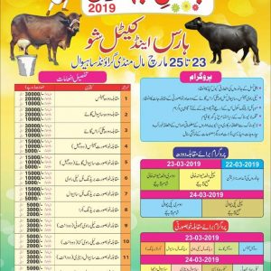 Cattle Show in Sahiwal