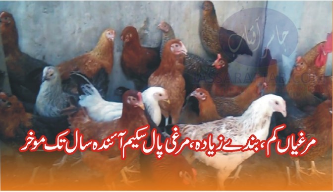 Delay in Poultry Scheme