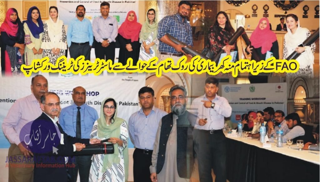 FMD Control by FAO Pakistan | Training of Livestock Staff