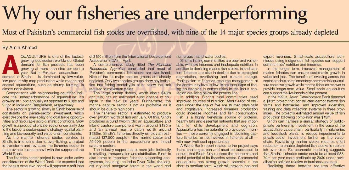 Why our fisheries are underperforming, Issues faced by fish industry in Pakistan and Fisheries Department 