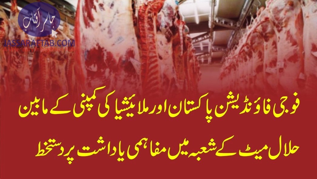 Pakistani and Malaysian Companies in Halal Meat
