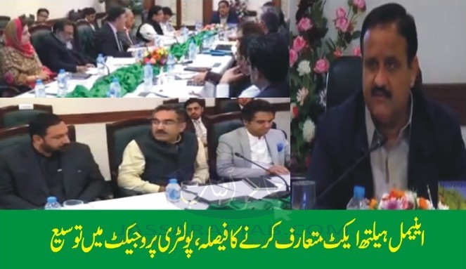 Animal Health Act and poultry project | CM Usman Buzdar