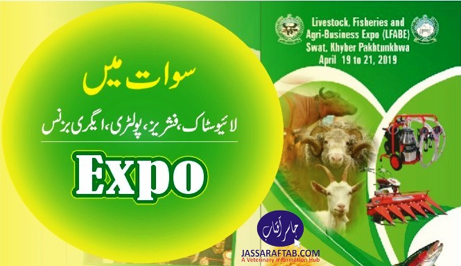 Sawat Livestock Agri Expo