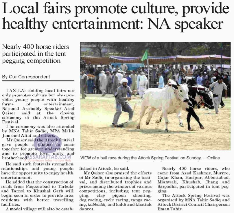 Bull Race in Taxila | Culture and Entertainment for Youth