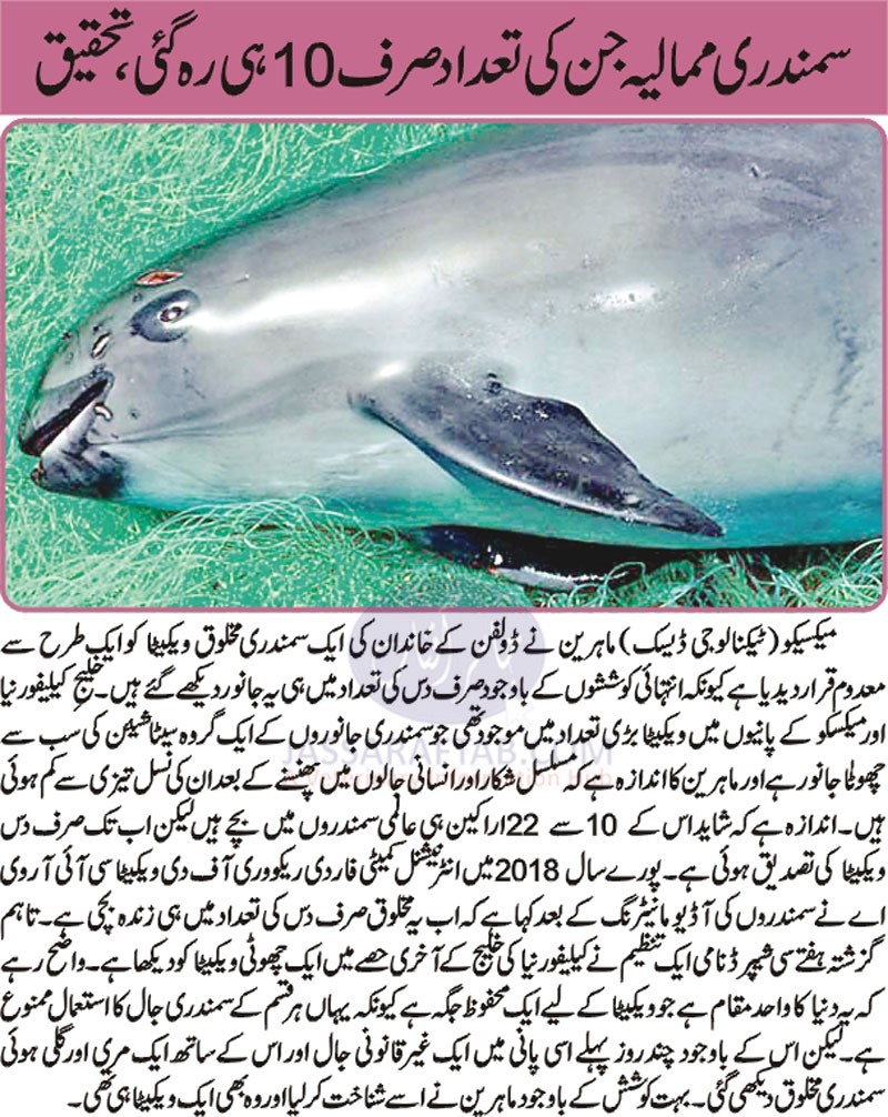 Marine Mammals Decreasing including Vaquita dolphin in Mexico 