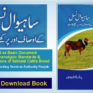 Sahiwal Cow Characteristics
