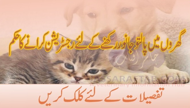 Registration for pet animals in Faisalabad