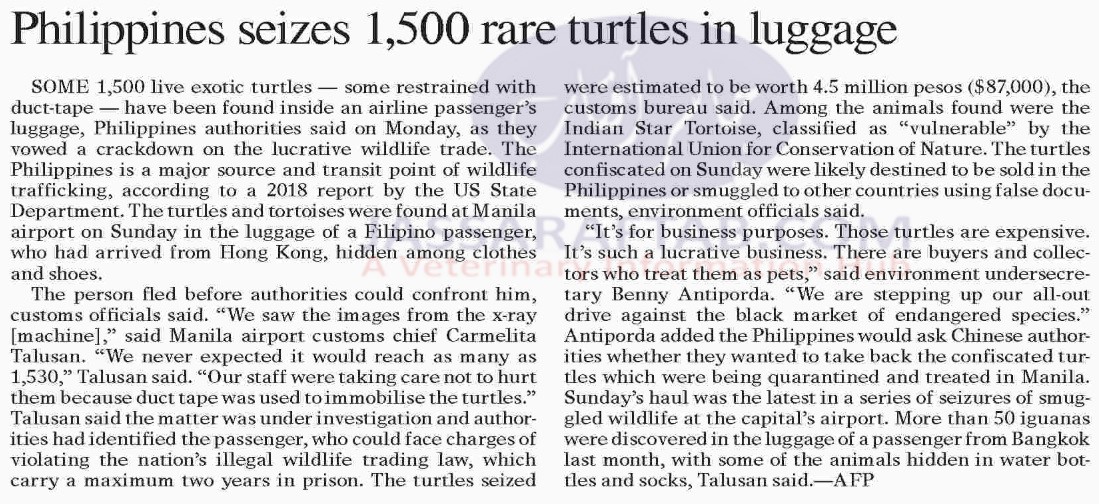1500 rare turtles seized by Custom, smuggling of turtles