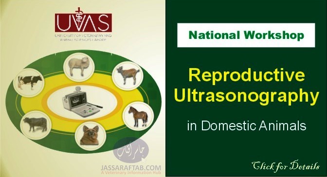 National Workshop on Reproductive Ultrasonography 