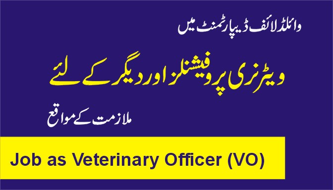 veterinary officer job