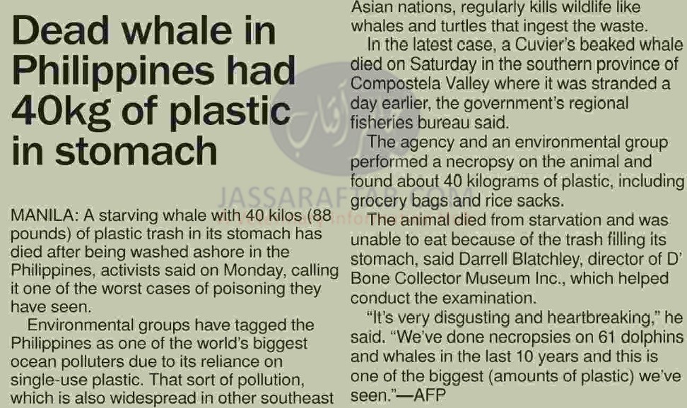Dead Whale with plastic in stomach