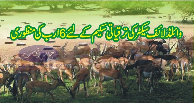 Fund for development of Wildlife Sector