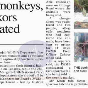 Wildlife department raid, found seven monkeys and 11 partridge
