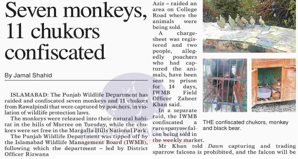 Wildlife department raid, found seven monkeys and 11 partridge 