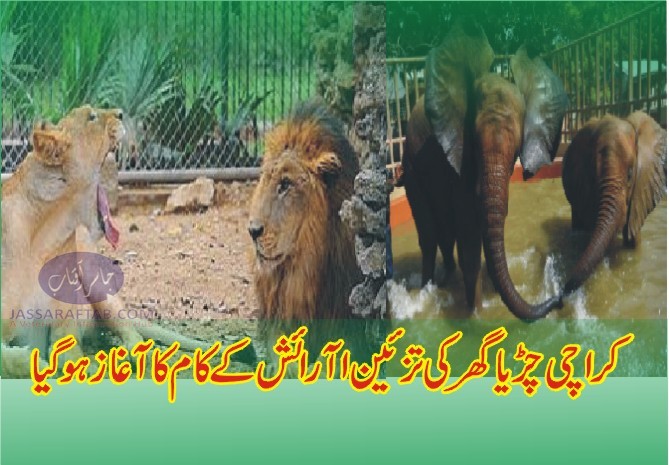 Karachi zoo renovation.