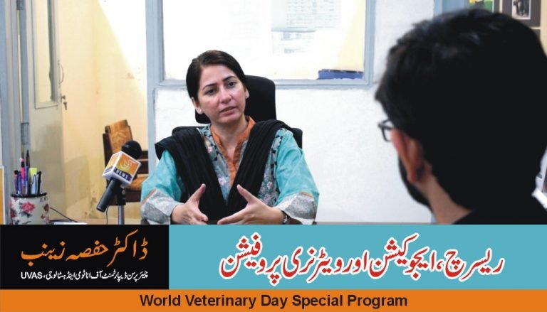 research, education and veterinary profession