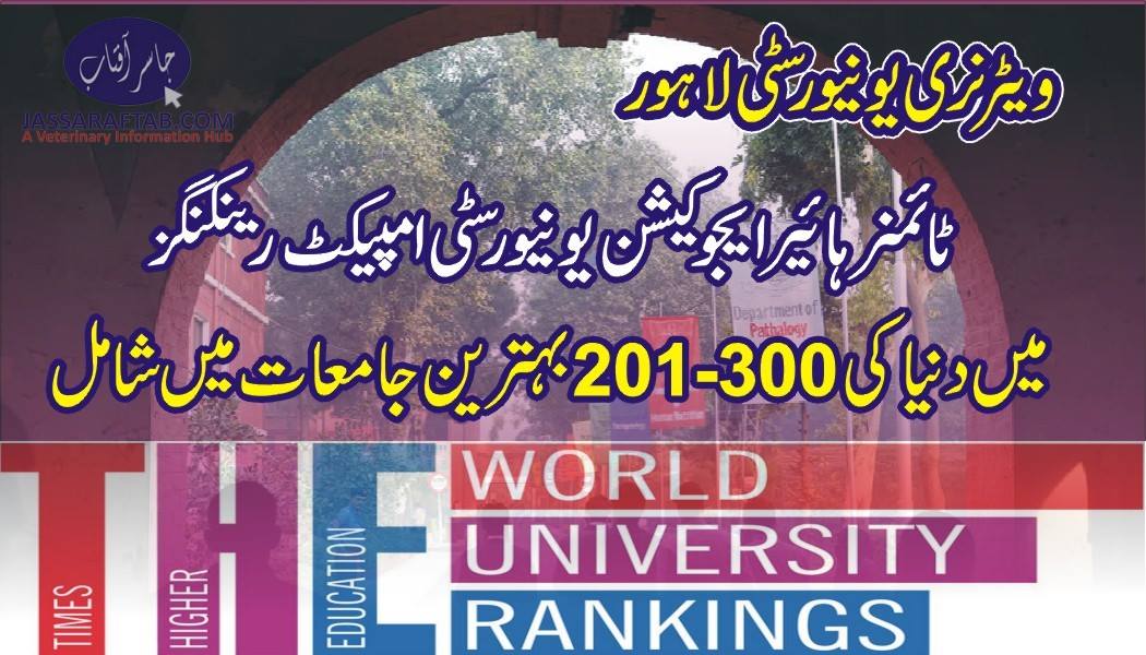 UVAS ranked among 201-300 World Universities by Times Higher Education Impact Rankings-2019