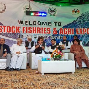 Livestock Expo in Swat