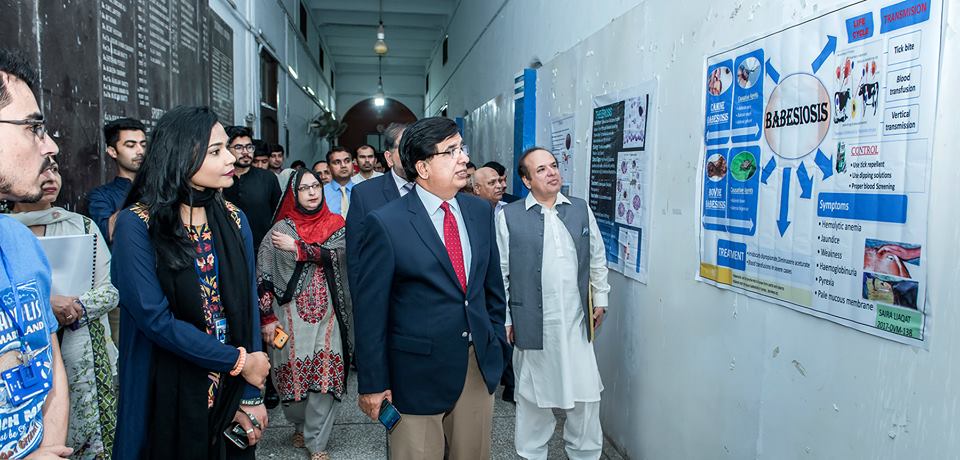 Exhibition on Veterinary Day
