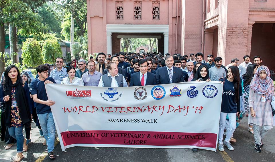 Walk on World Veterinary Day