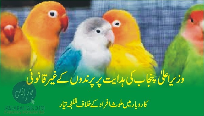 وزیراعلیٰ پنجاب کی ہدایت پر پرندوں کے غیر قانونی کاروبار میں ملوث افراد کے خلاف شکنجہ تیار