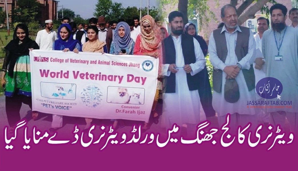 World Veterinary Day celebrated at CVAS Jhang