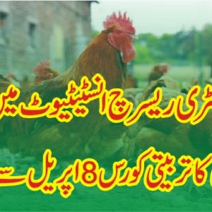 Poultry training course