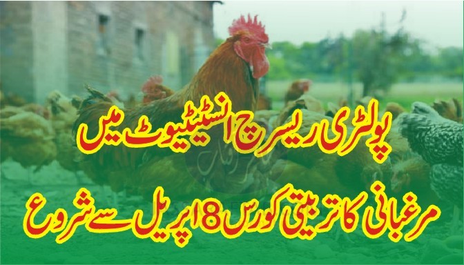 Poultry Course in Rawalpindi