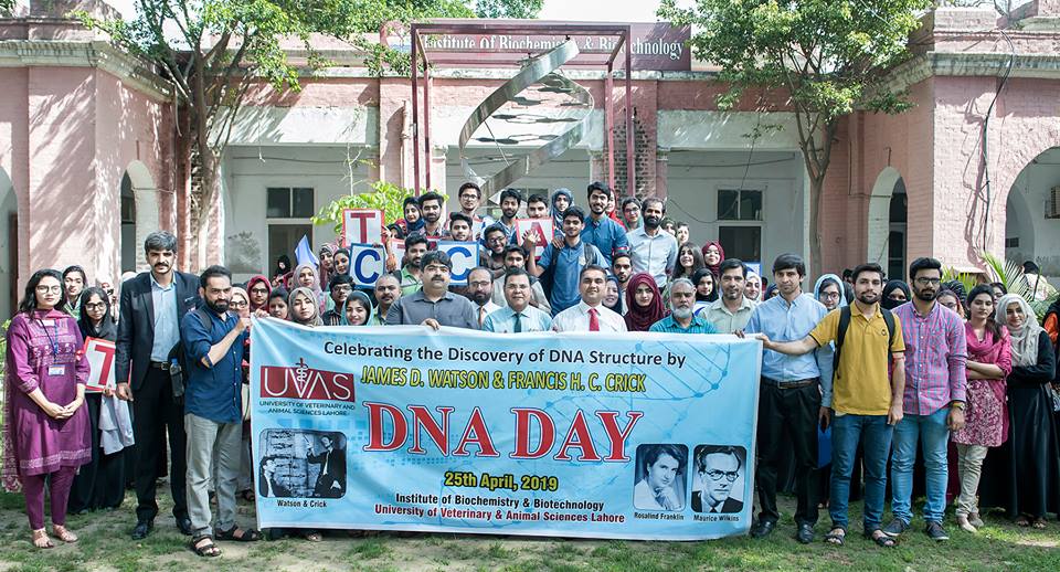 Walk on World DNA Day