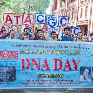 Walk on DNA Day