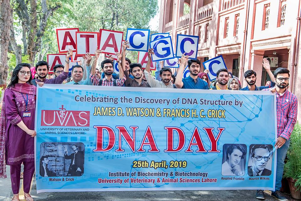 Walk on DNA Day