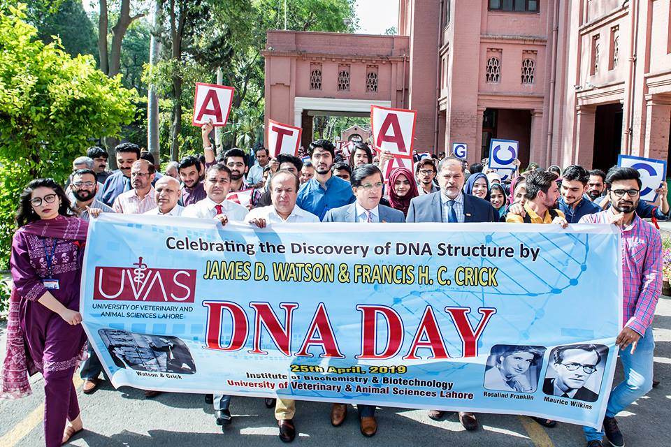 World DNA Day Walk