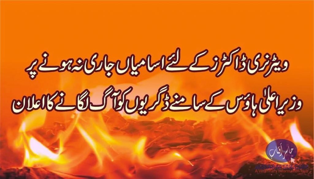 Protest of veterinary doctors by burning degrees