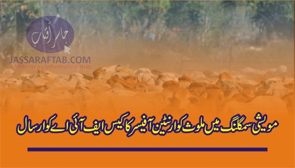 Livestock Smuggling Case of Quarantine Officer