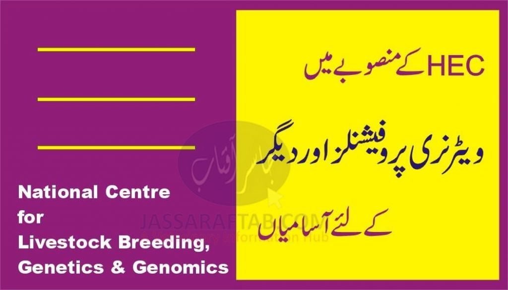 Jobs for vets in HEC Project