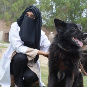 Pet Dogs Show in Jhang