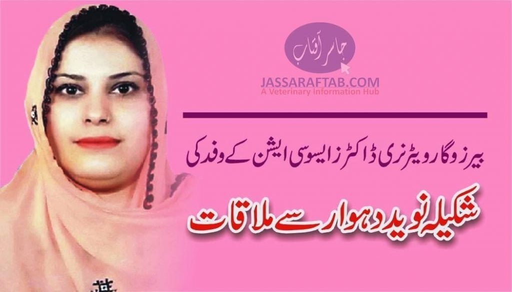 Shakeela Naveed Dahwar | Veterinary Doctors Meeting