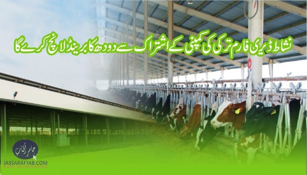 Nishat Dairy Shed Sukheki