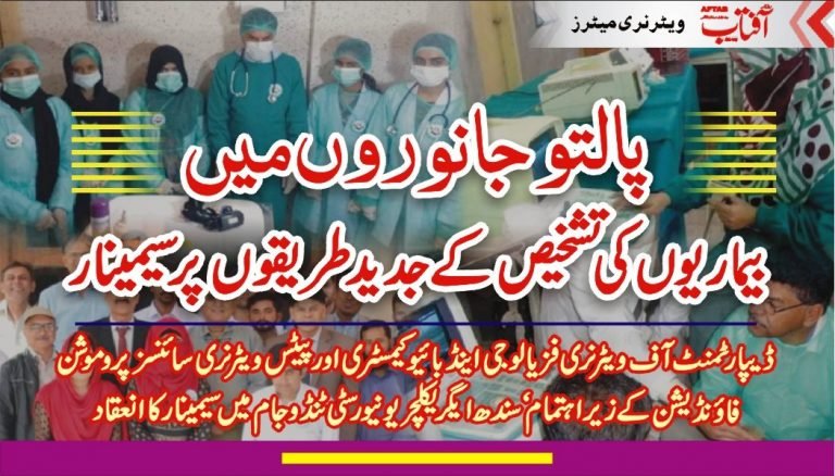 Modern Diagnostic Techniques in Pets Practice. Veterinary Diagnosis for Dogs and Cats