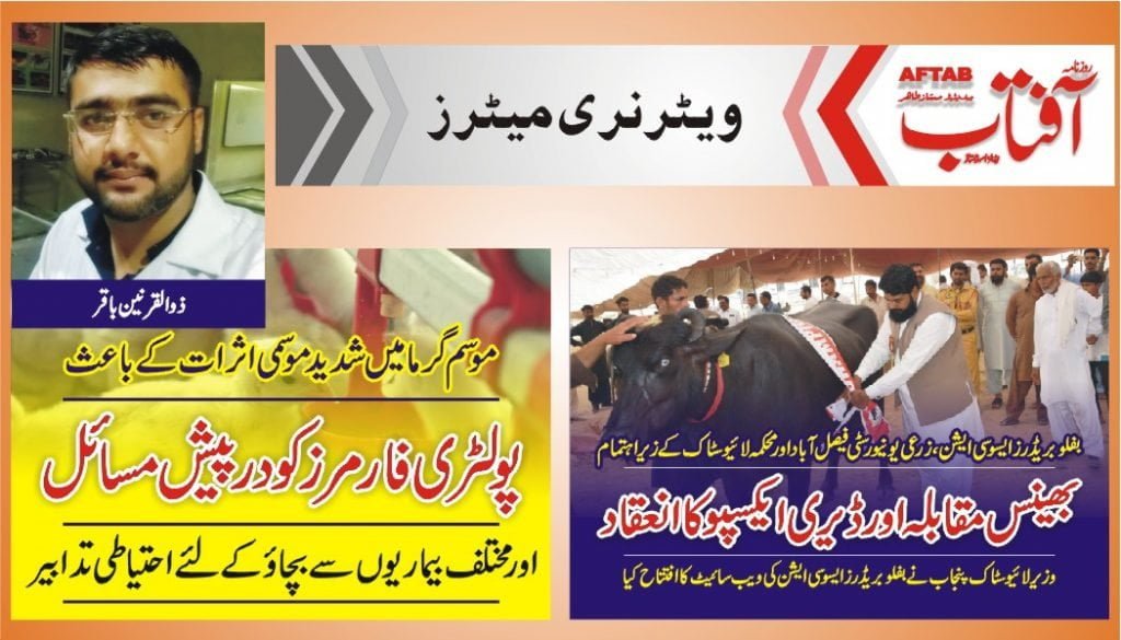 Bhens Mela and dairy expo