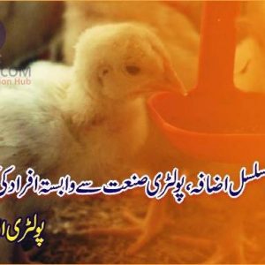 Poultry association demands subsidy