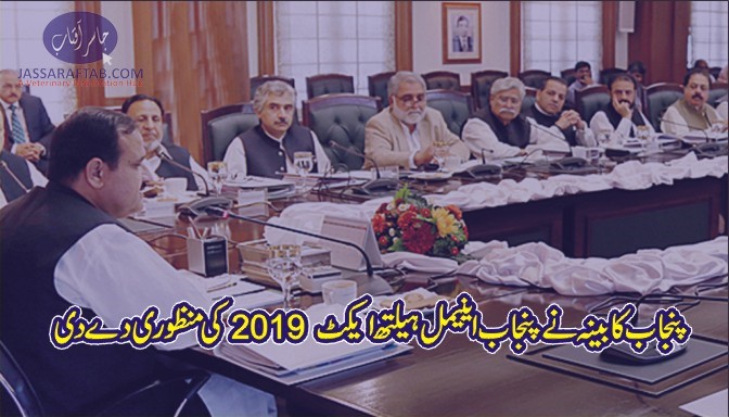 پنجاب کابینہ نے پنجاب اینیمل ہیلتھ ایکٹ  2019  کی منظوری دے دی